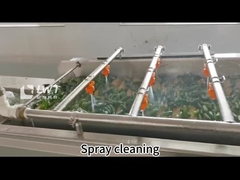 อัตโนมัติ กล่องถั่วทอด กล่องผัก สายการผลิต อุปกรณ์ตามต้องการ