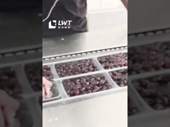 สายการผลิตการบรรจุวัสดุวัสดุวัสดุวัสดุวัสดุวัสดุวัสดุวัสดุวัสดุวัสดุวัสดุวัสดุวัสดุวัสดุวัสดุวัสดุวัสดุวัสดุวัสดุวัสดุ