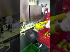 สายการผลิตผลไม้กระป๋อง Leadworld สายการแปรรูปพีร่ากระป๋อง