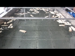 เครื่องทำความสะอาดฟองเห็ด